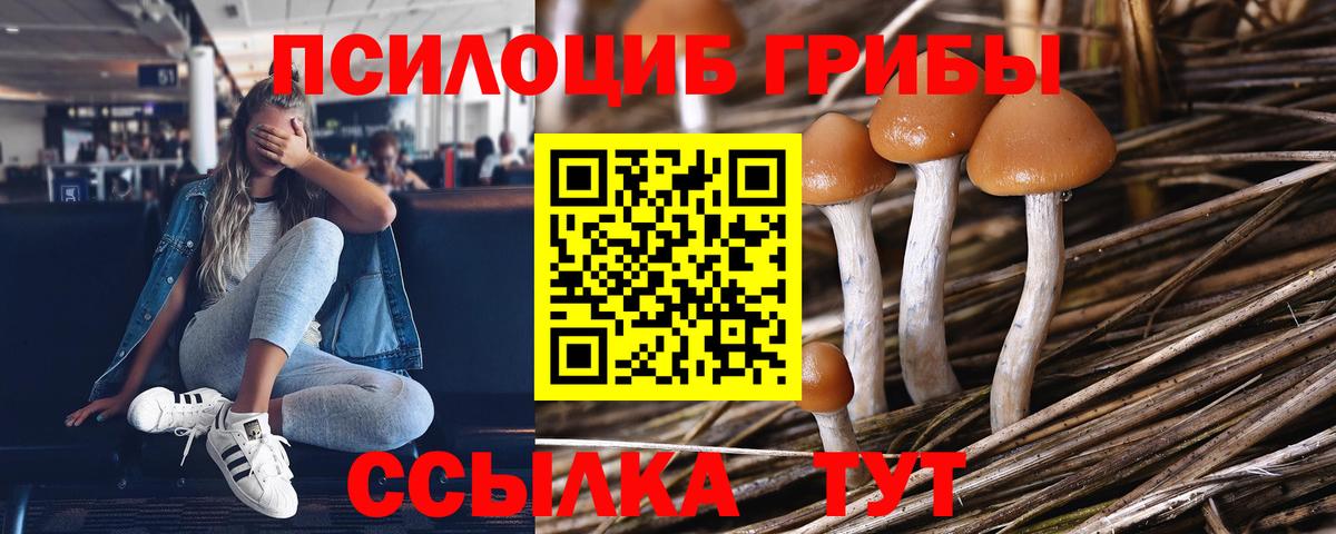Брянск  Псилоцибиновые грибы Psilocybine cubensis  Псилоцибиновые грибы Magic Shrooms  Вход с VPN 