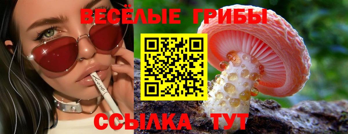 Галлюциногенные грибы Magic Shrooms Брянск